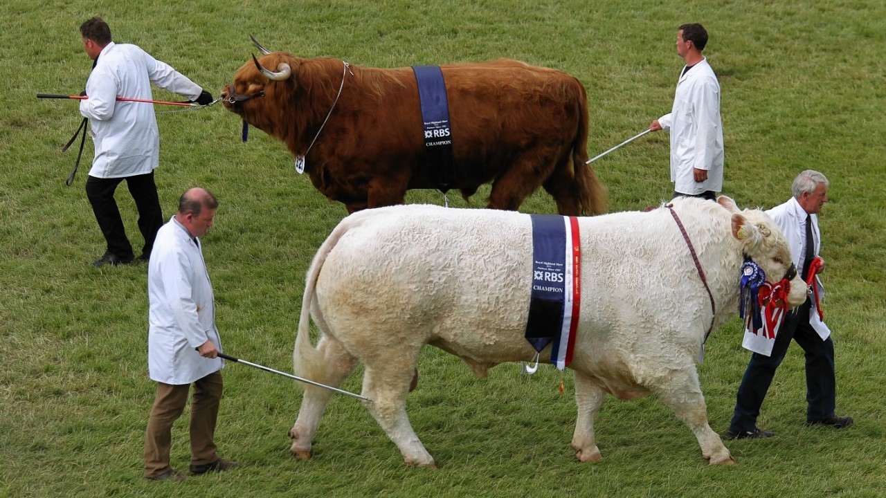 This year's Royal Highland Show