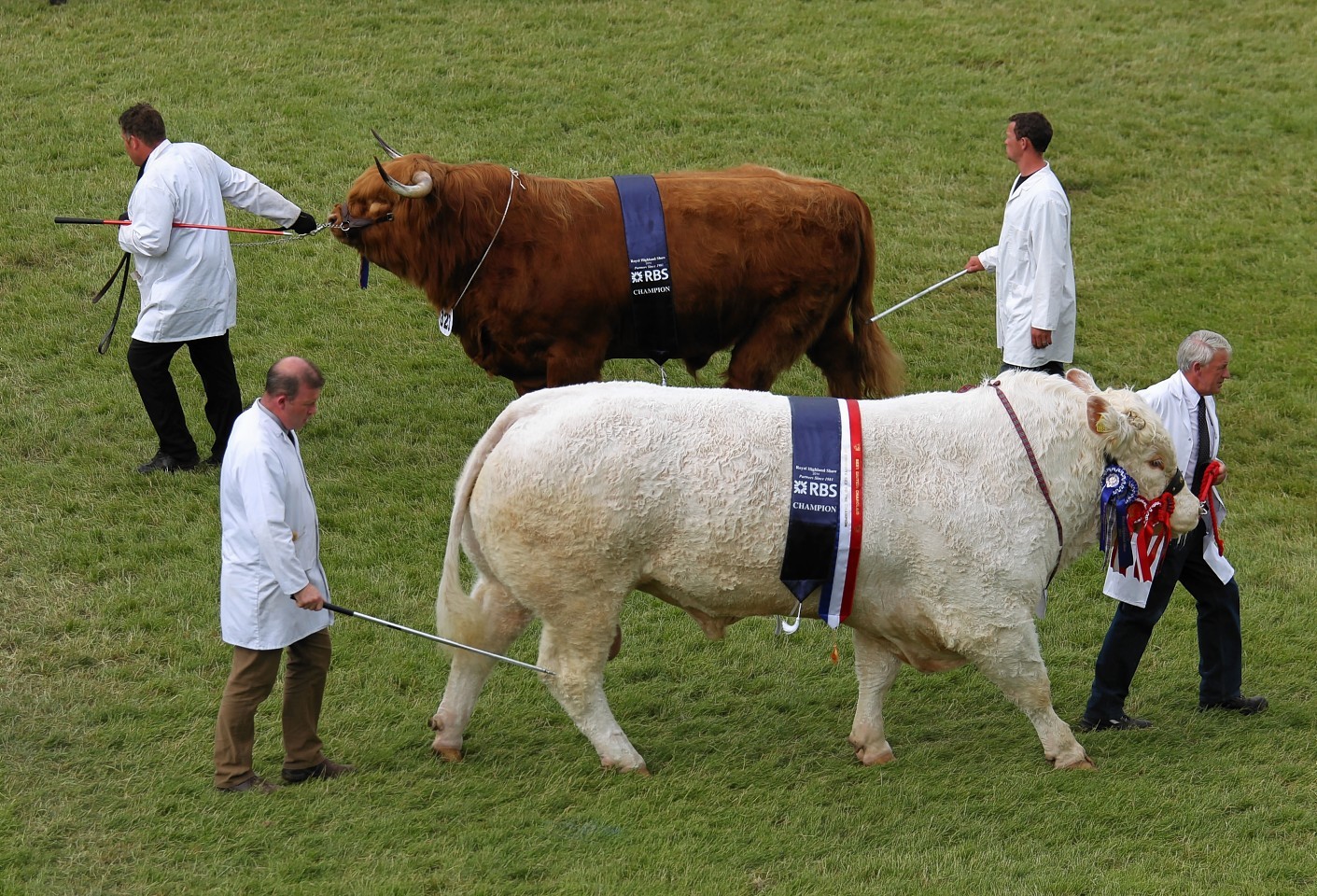 This year's Royal Highland Show