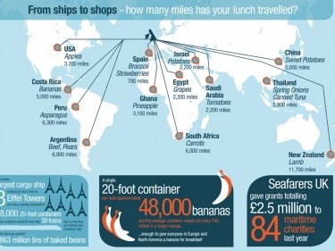 Seafarer infographic 2