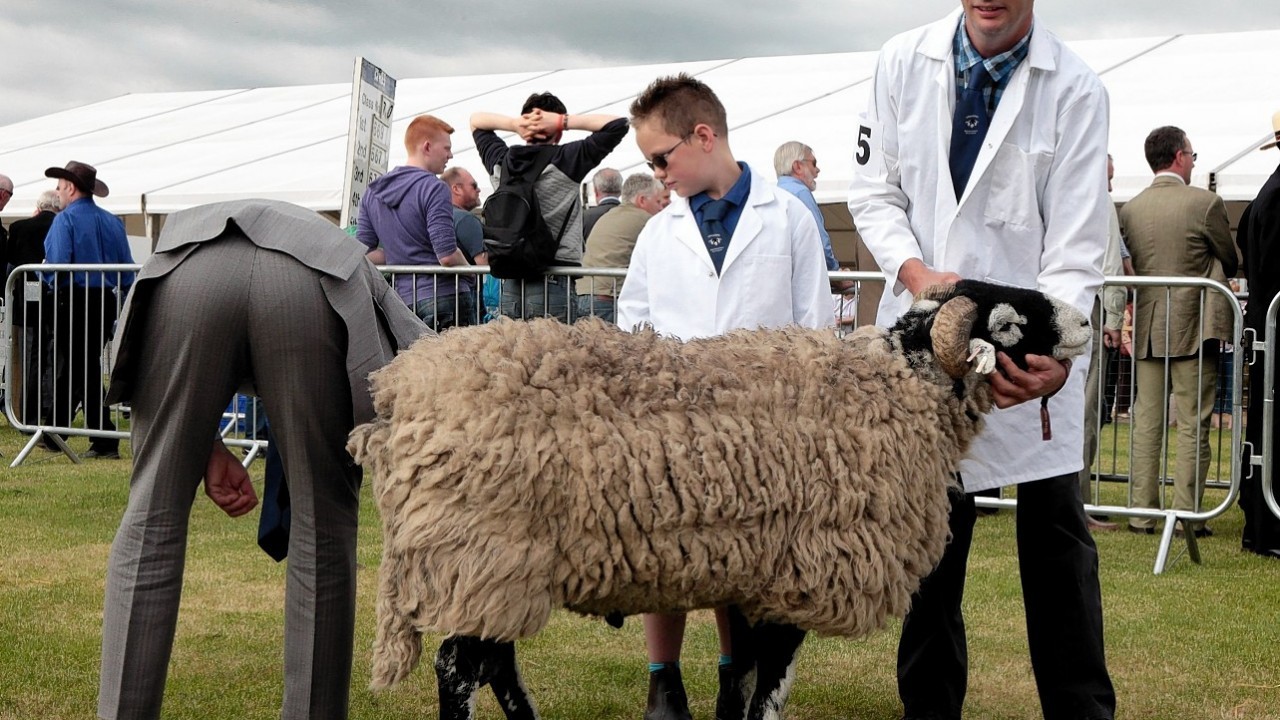 Eight year old Ned Wilkinson from County Durham with his father Graham at the judging of Swaledale rams on day two of his years Royal Highland Show, a four-day event, where more than 5000 animals appeared in a showcase of rural Scotland