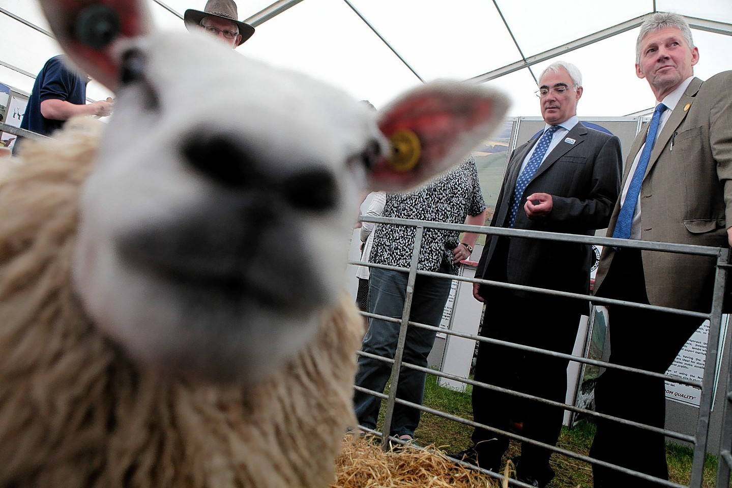 Better Together leader Alistair Darling takes a tour round the Royal Highland Show and speaks to farmers to make the case that being part of the UK secures the best future for Scotland's rural communities