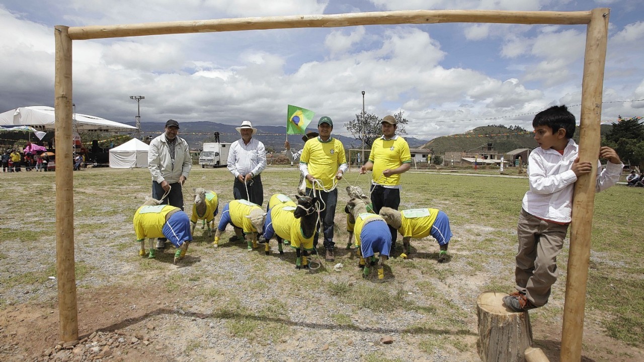 Men pose with their team of sheep dressed with the jerseys of Brazil's soccer team before a Colombia vs Brazil soccer sheep match in Nobsa, Colombia