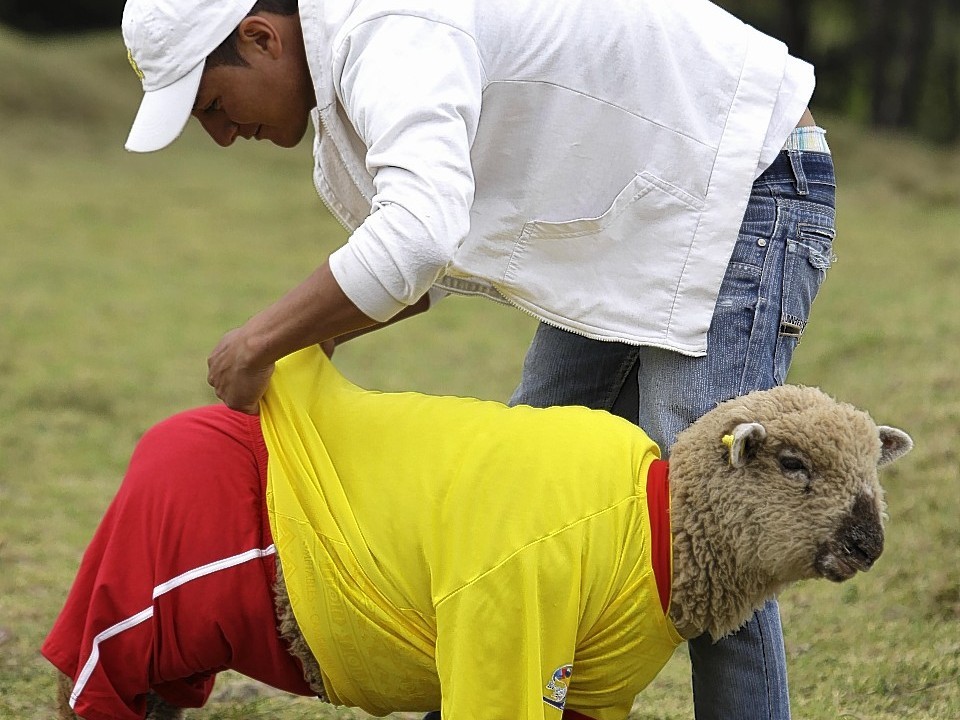 The match was part of the International Poncho Day, celebrated every year in this region of central Colombian where local craftsmen make sheep wool ponchos using ancestral techniques