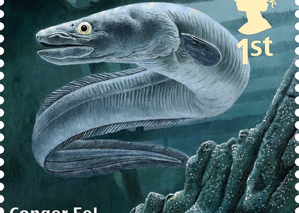 Royal Mail, Sustainable Fish Special Stamp, showing a Conger Eel.  The 10-stamp set, launched on World Environment Day are the first ever by Royal Mail to have been produced to help champion a consumer message around an environmental issue - that of sustainable fishing in British waters.