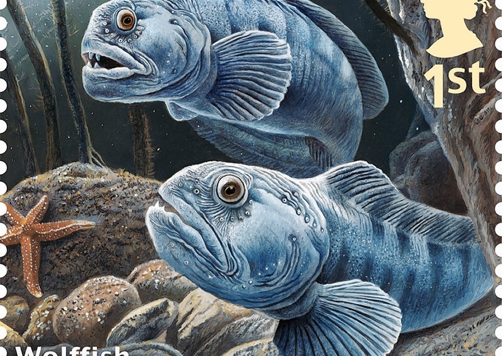 Royal Mail, Sustainable Fish Special Stamp, showing Wolffish.  The 10-stamp set, launched on World Environment Day are the first ever by Royal Mail to have been produced to help champion a consumer message around an environmental issue - that of sustainable fishing in British waters.