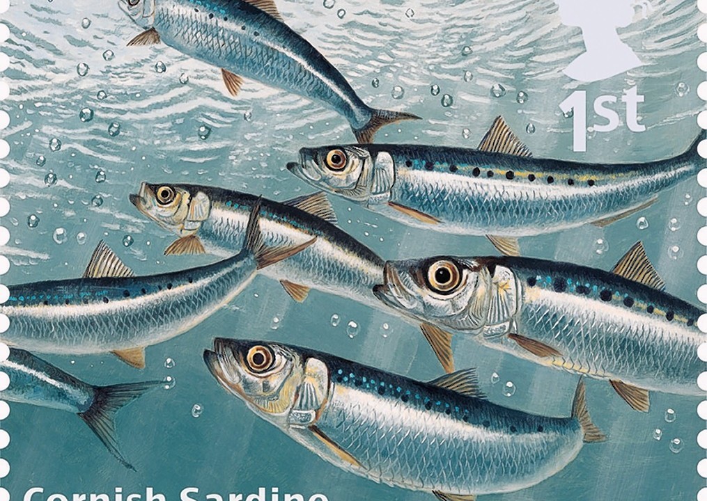 Royal Mail, Sustainable Fish Special Stamp, showing Cornish Sardine.  The 10-stamp set, launched on World Environment Day are the first ever by Royal Mail to have been produced to help champion a consumer message around an environmental issue - that of sustainable fishing in British waters.