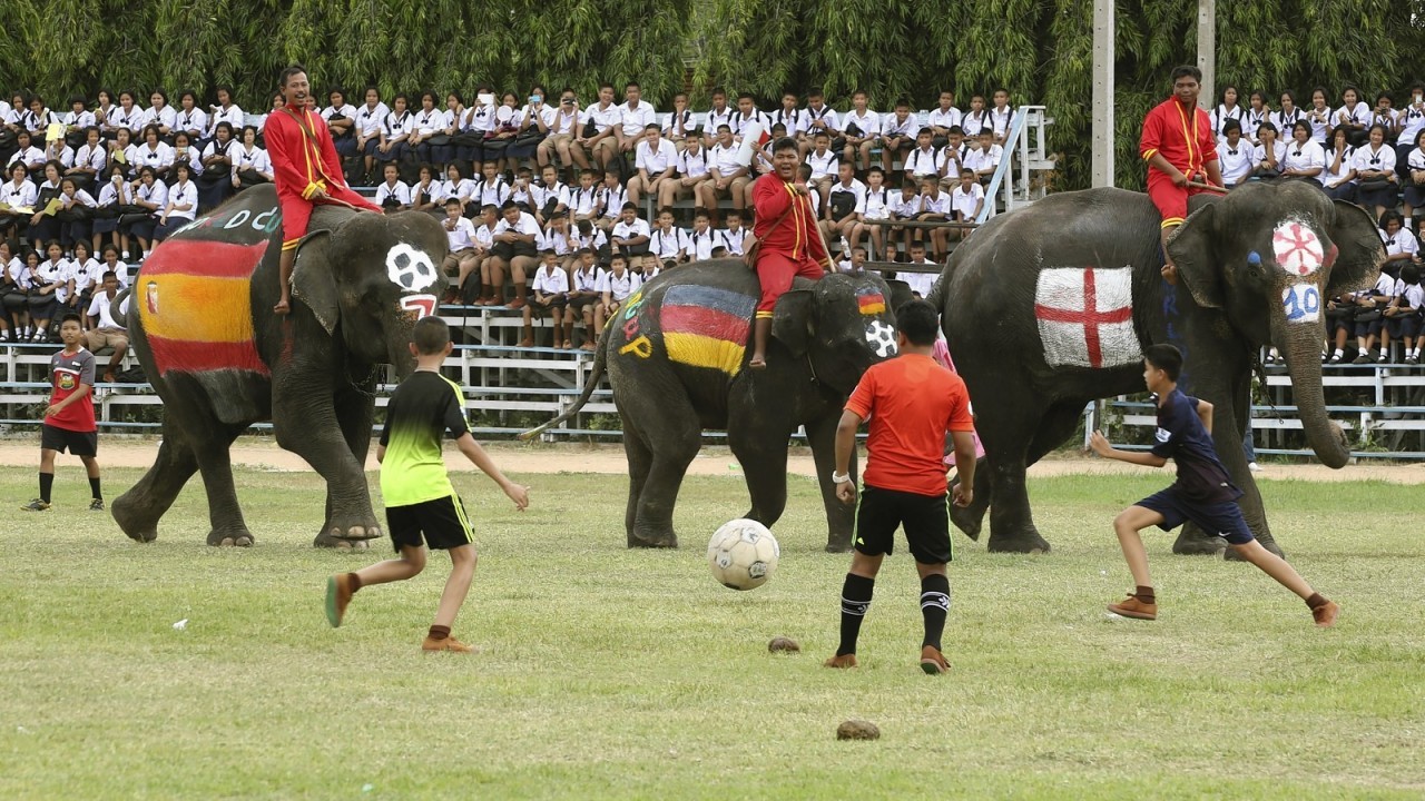 Thai youths fight for the ball with elephants during a soccer match between men and elephants organized by Ayutthaya Elephant Camp to celebrate the World Cup soccer tournament taking place in Brazil, in Ayutthaya province, central Thailand.