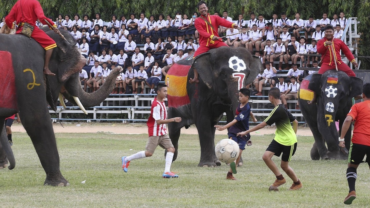 Thai youths fight for the ball with elephants during a soccer match between men and elephants to celebrate the 2014 FIFA World Cup Brazil organized by Ayutthaya Elephant Camp in Ayutthaya province, central Thailand.
