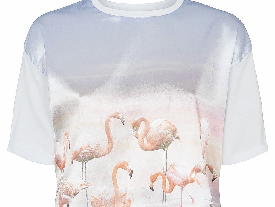 Primark chiffon front flamingo print tee, £6