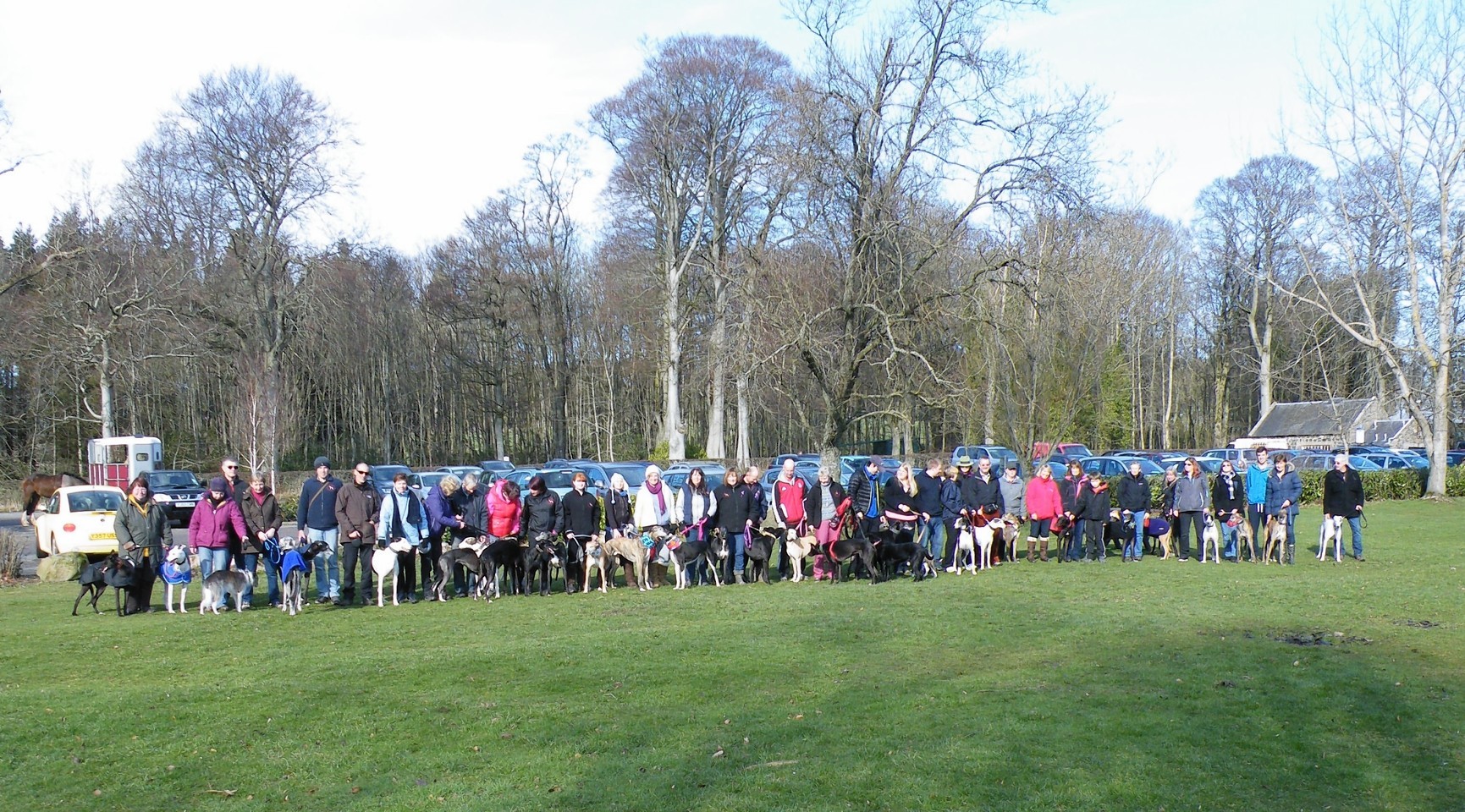 Last year's greyhound walk