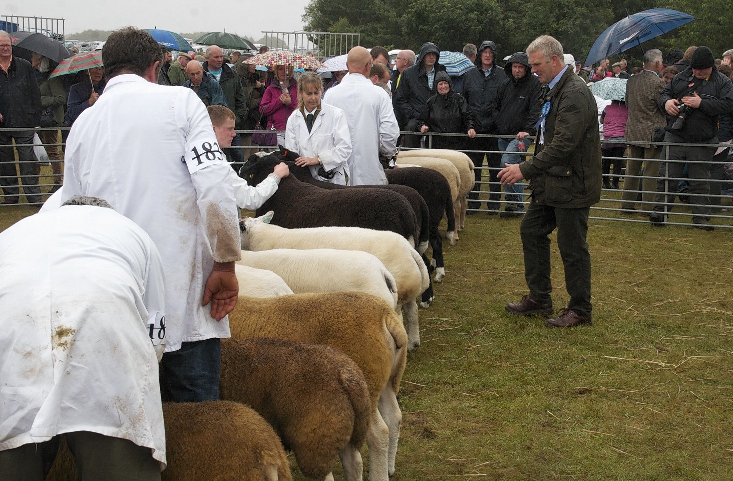 Black Isle Show organisers have launched a £5,000 educational bursary