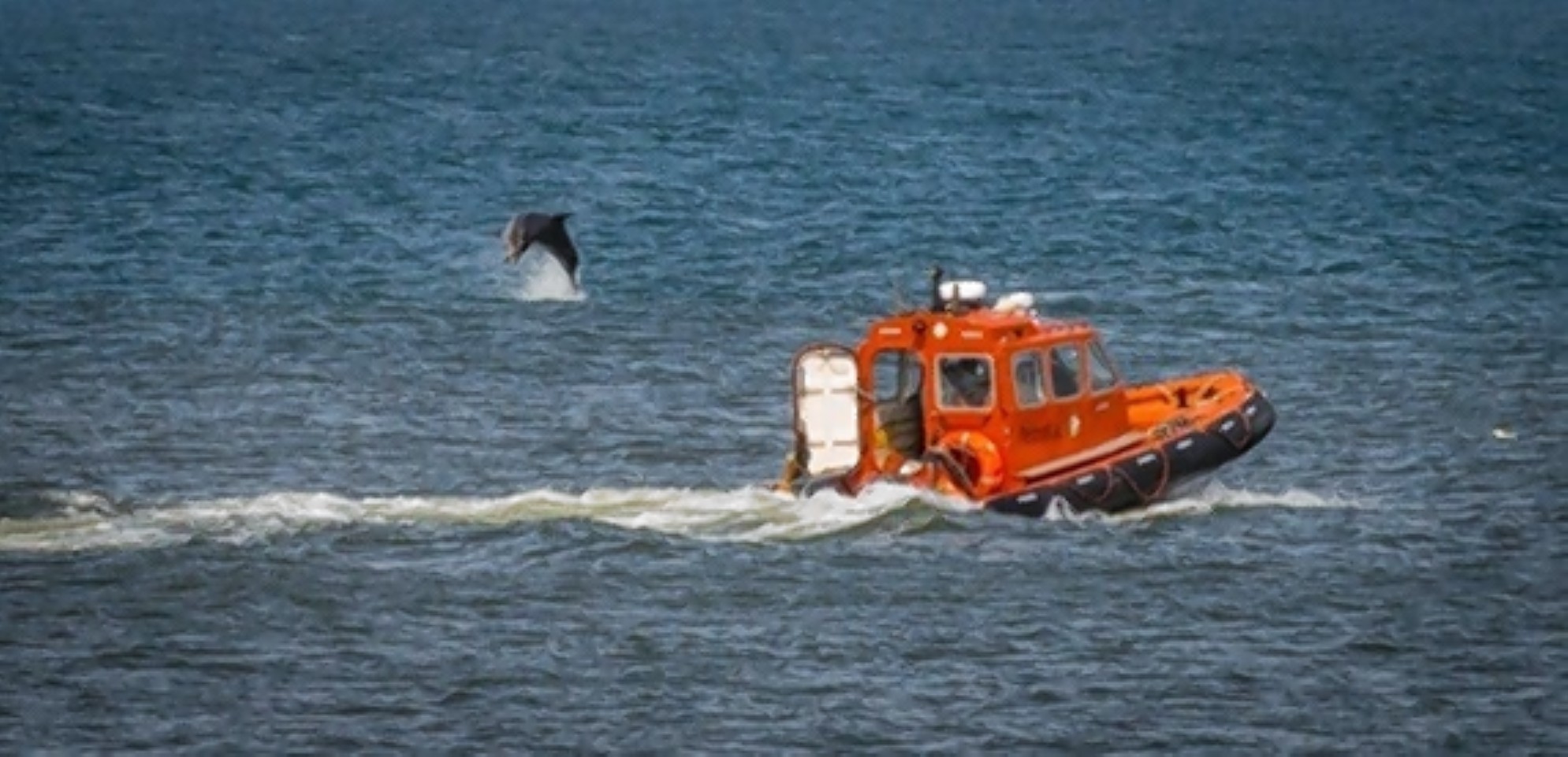 The alert comes as Aberdeen-based North Star Shipping denied claims its vessels were spotted harassing dolphins. Picture by Jeannette Baxendale