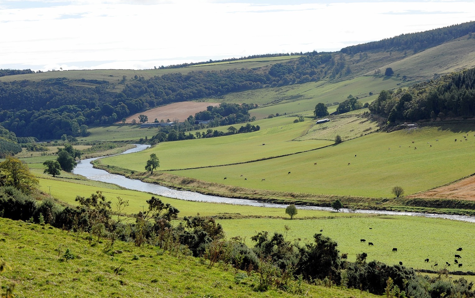 Land at Corniehaugh Farm