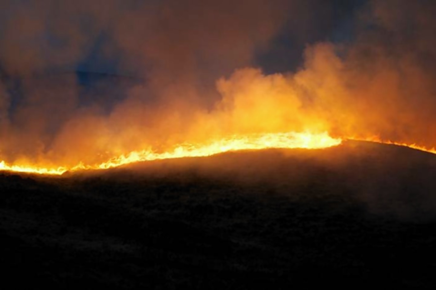 Glen Tarbet wildfire