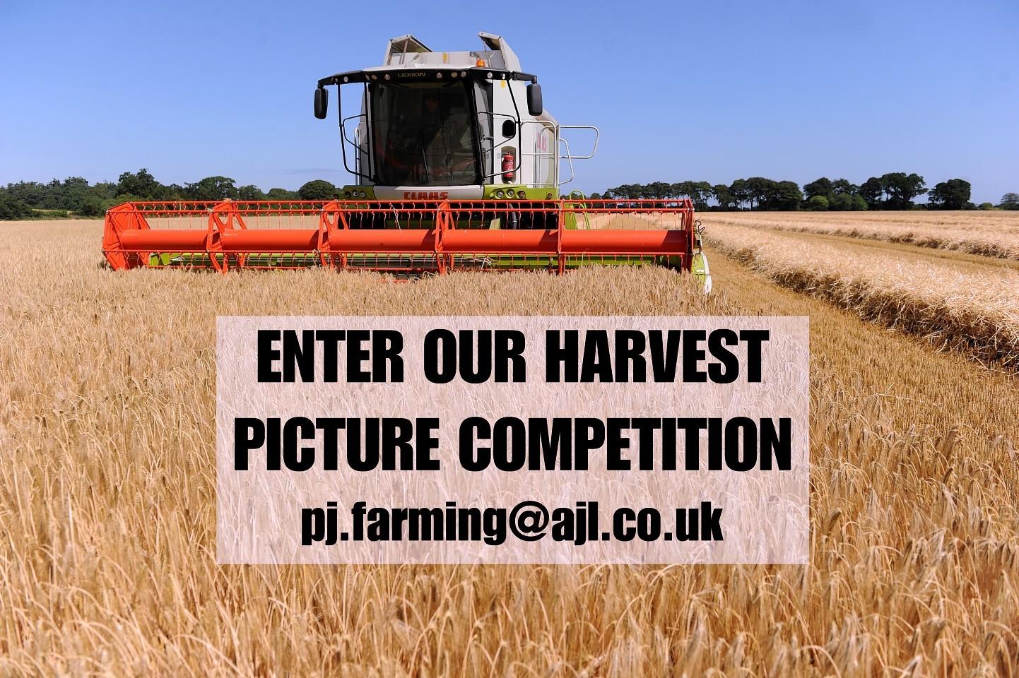 Send us in your harvest pictures