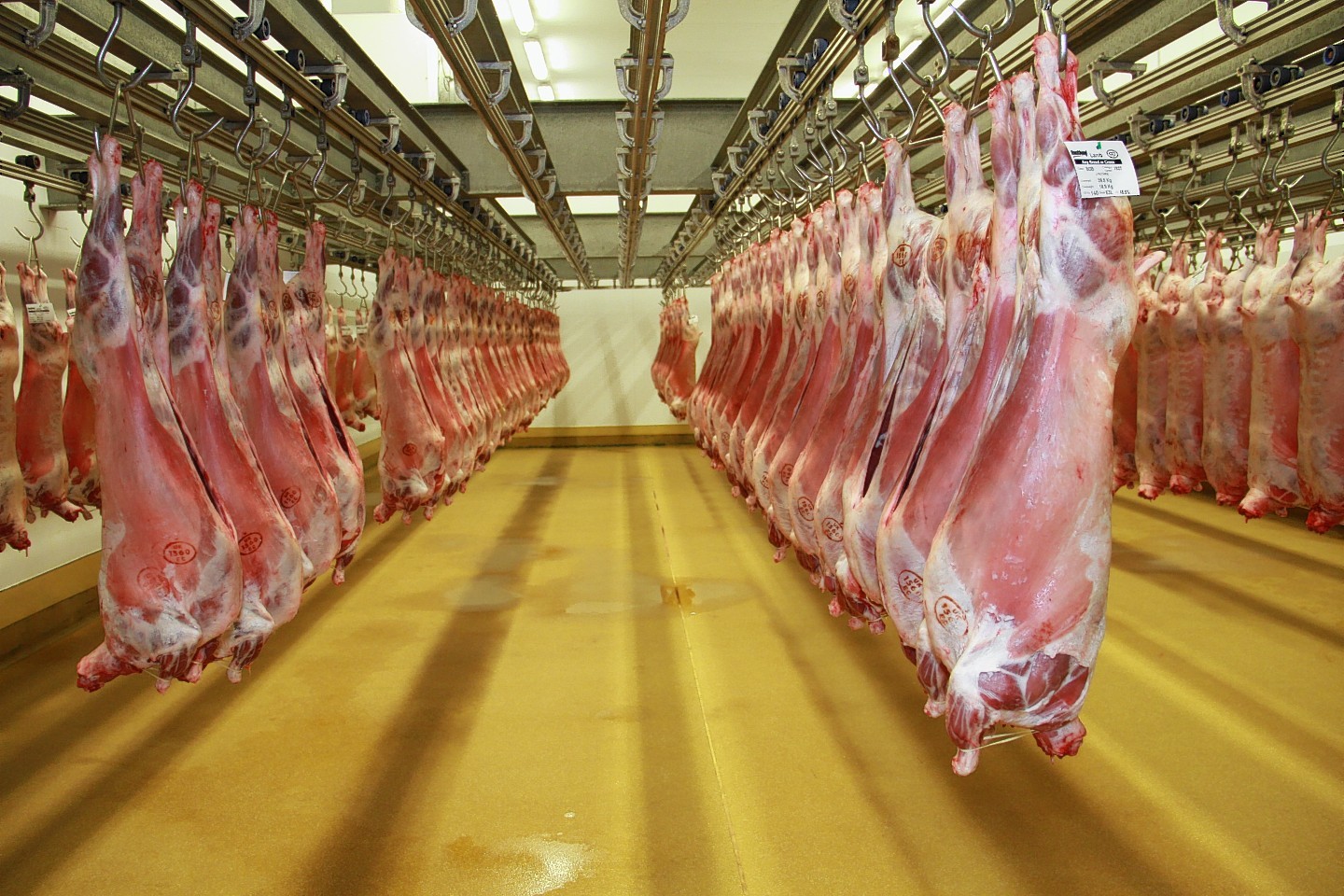 QMS predicts 'business as usual' for red meat exports in the next two years