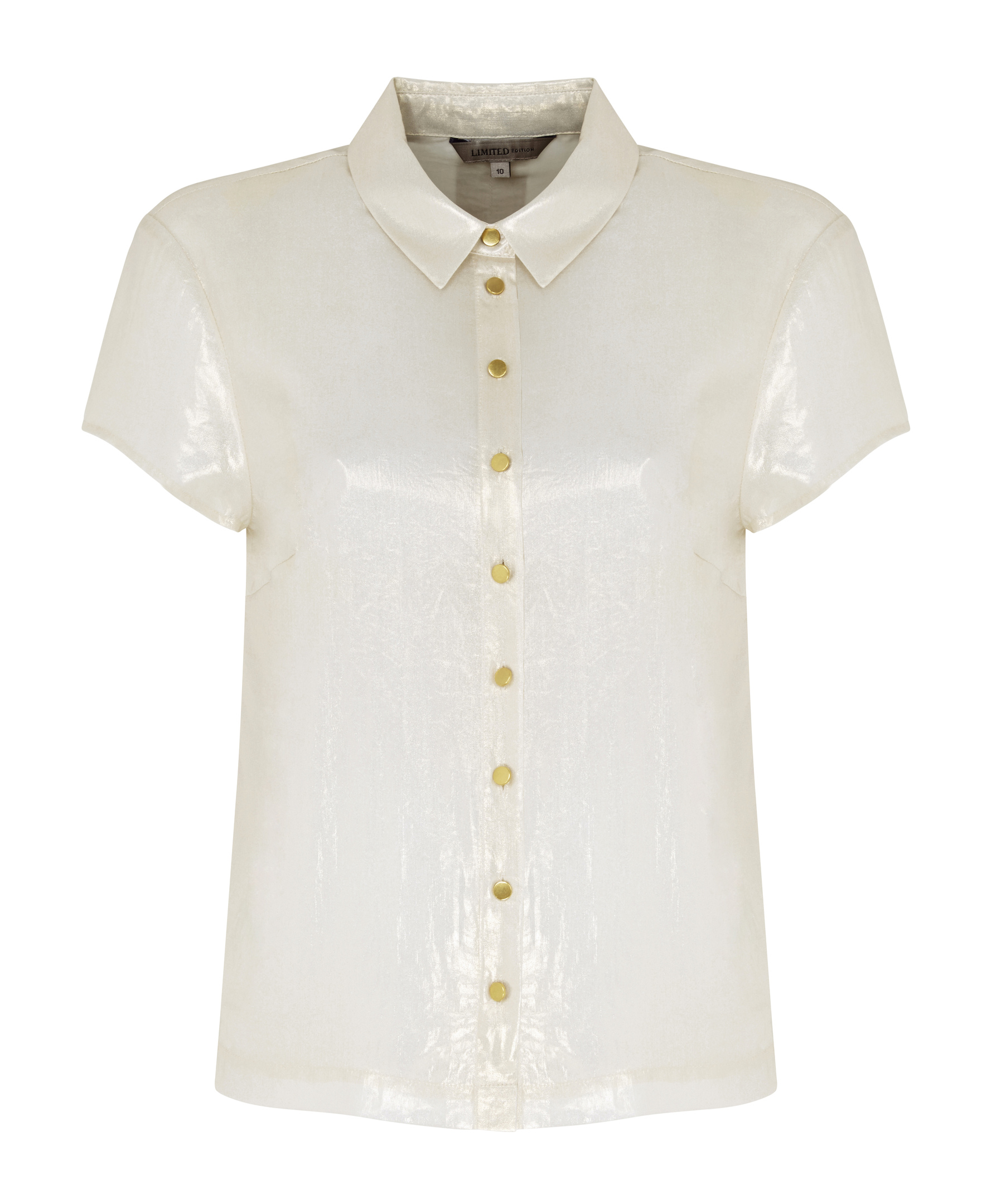 Limited Edition Metallic Blouse £29.50