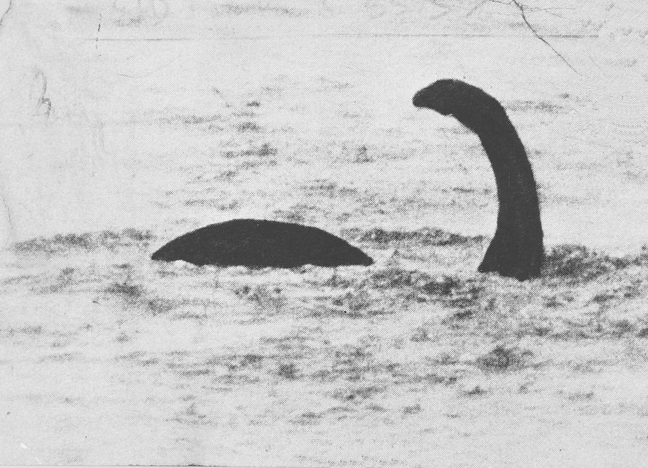 One of a famous faked pictures of Nessie