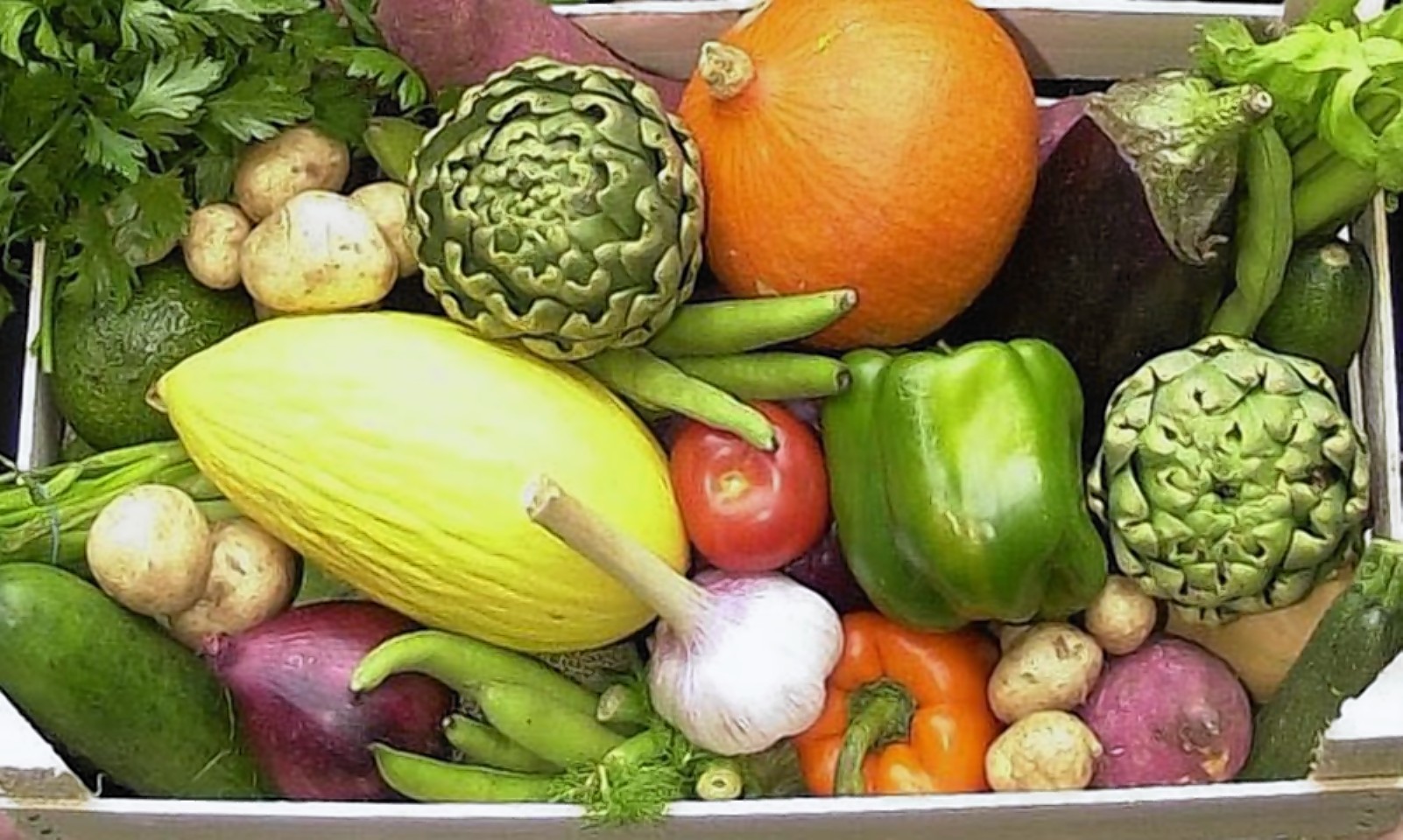 Government is being urged to give more support to organics