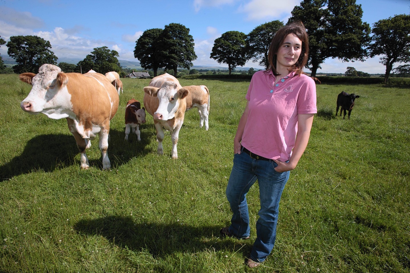 Ruth Brown with her Simmental cows