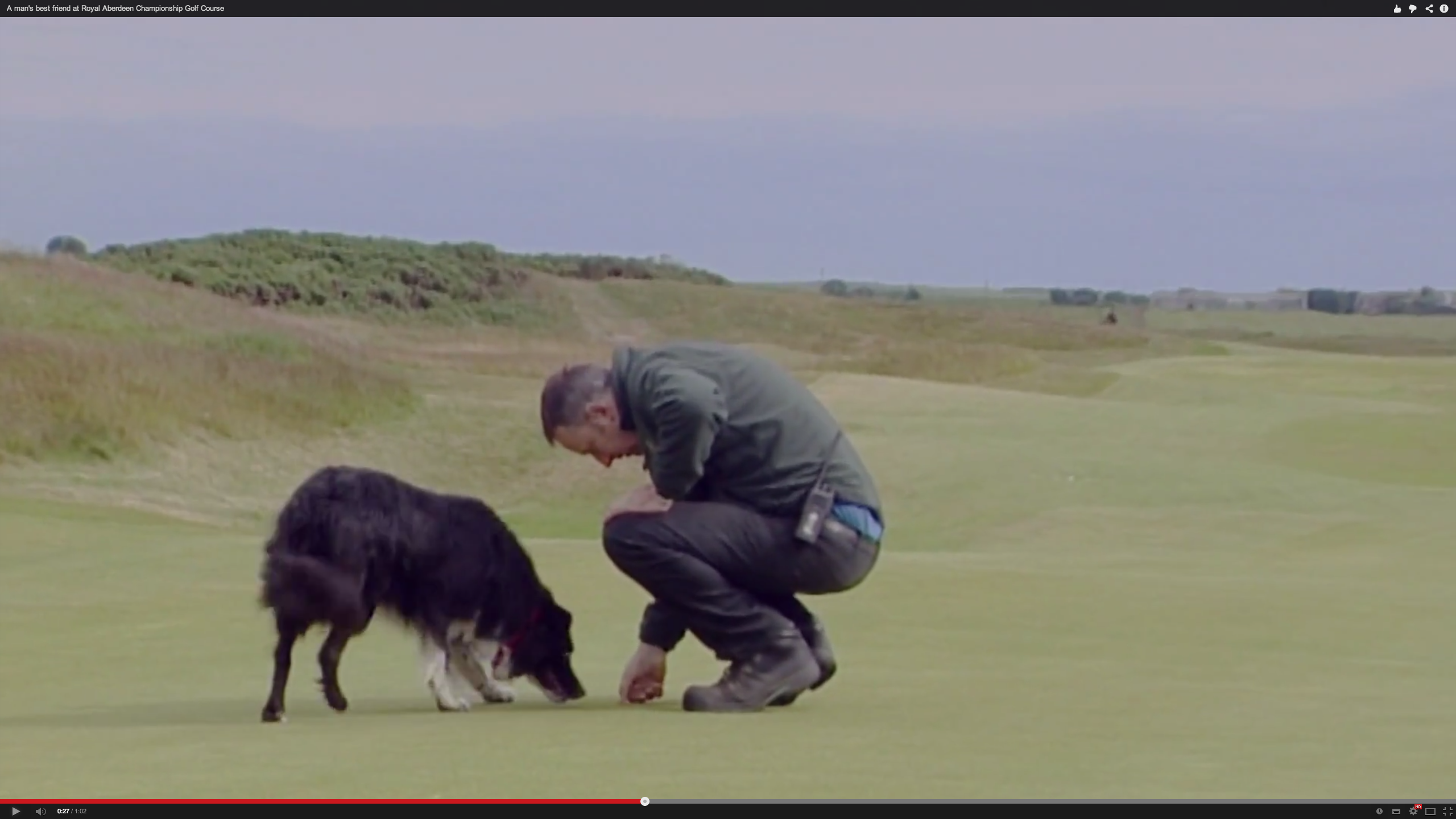 Royal Aberdeen Golf Club's head greenkeeper, Robert Paterson with his dog Skye on the course