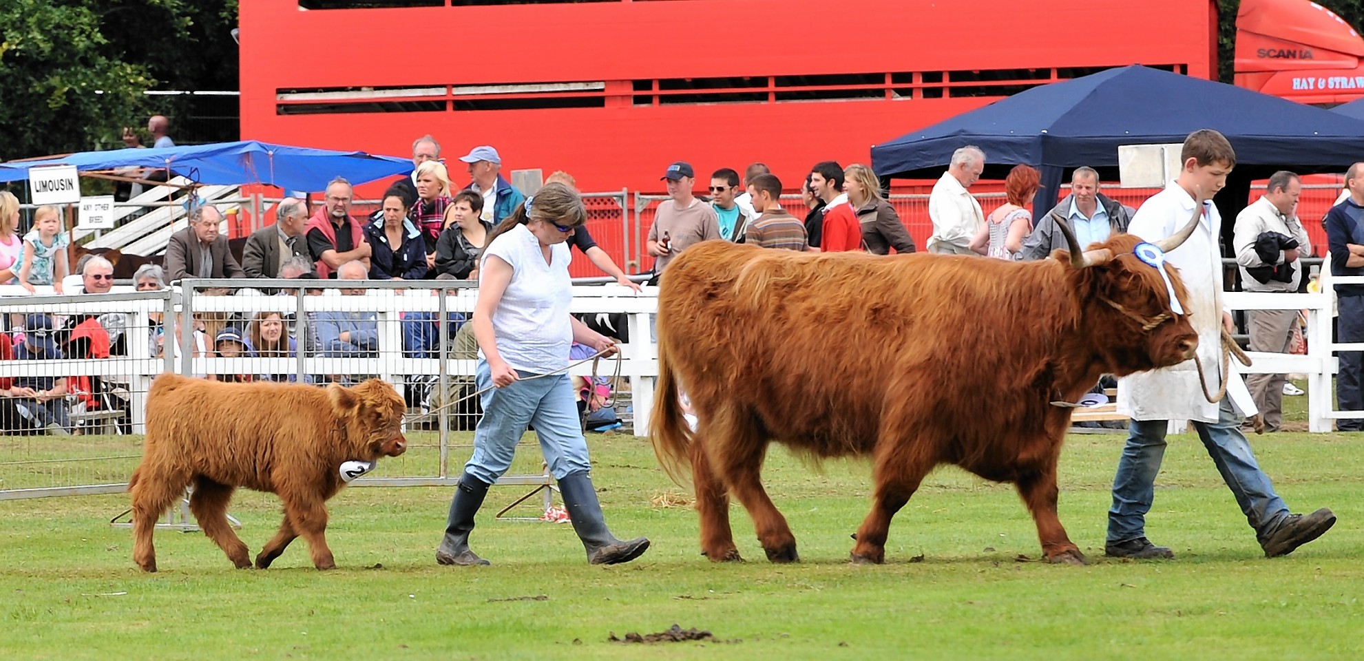 This year marks the 150th anniversary of the Turriff Show