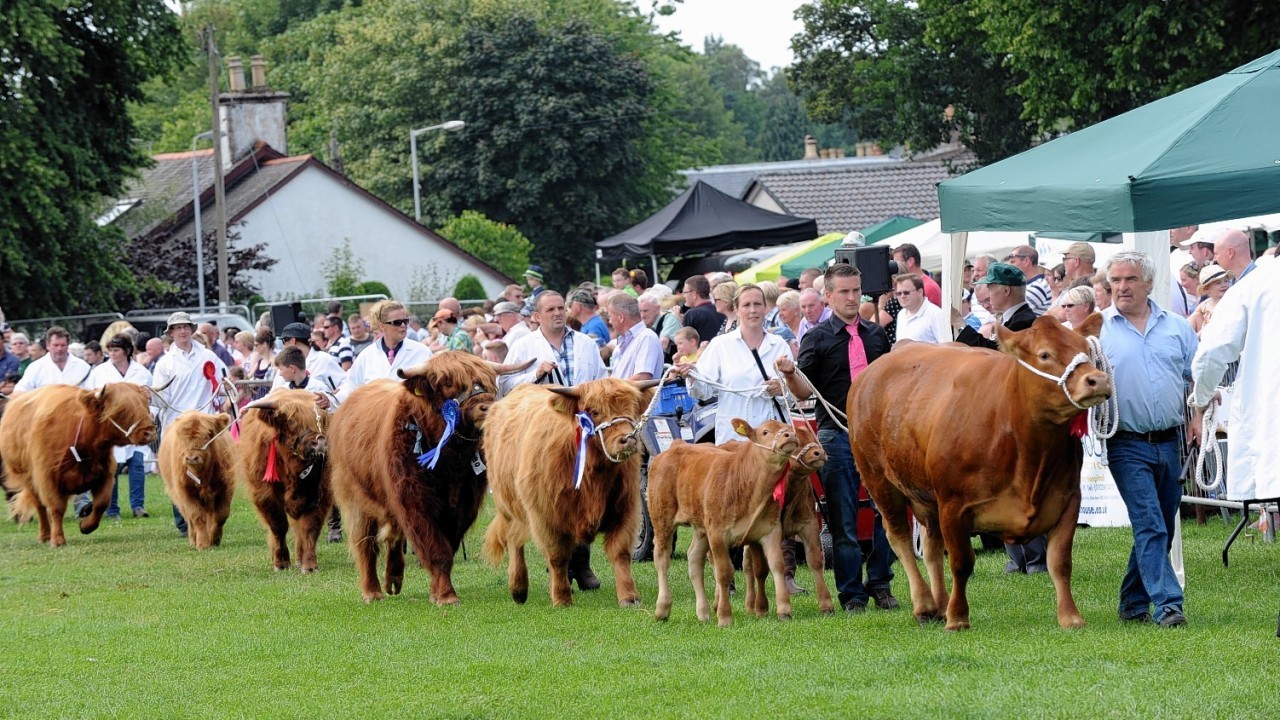 The Banchory Show, 2014