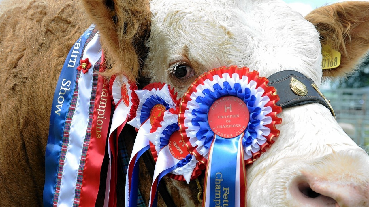 The Fettercairn Farmers Club, Fettercairn Show, Fettercairn