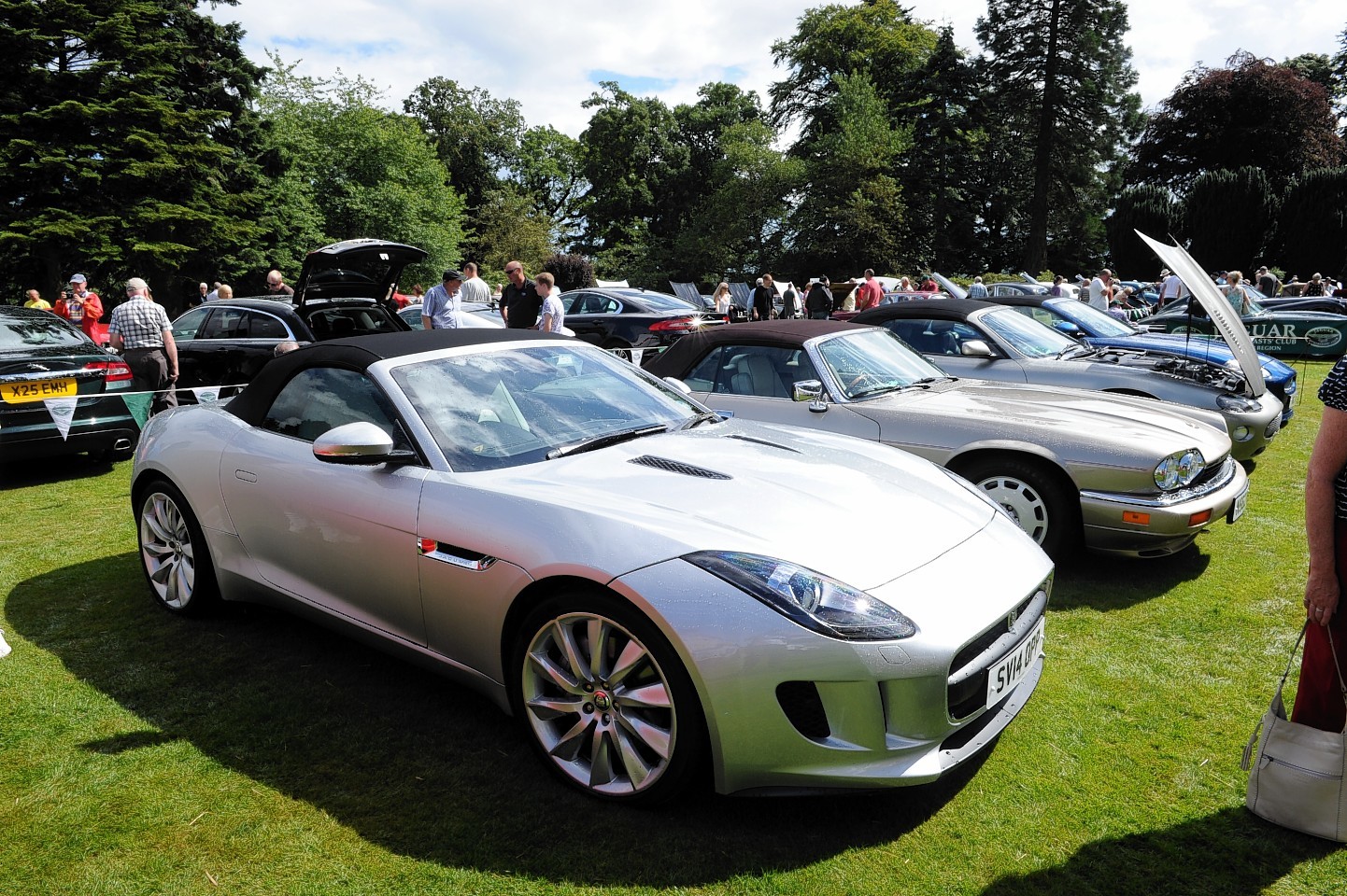 Jaguar Enthusiasts Club's annual gathering at Drum Castle
