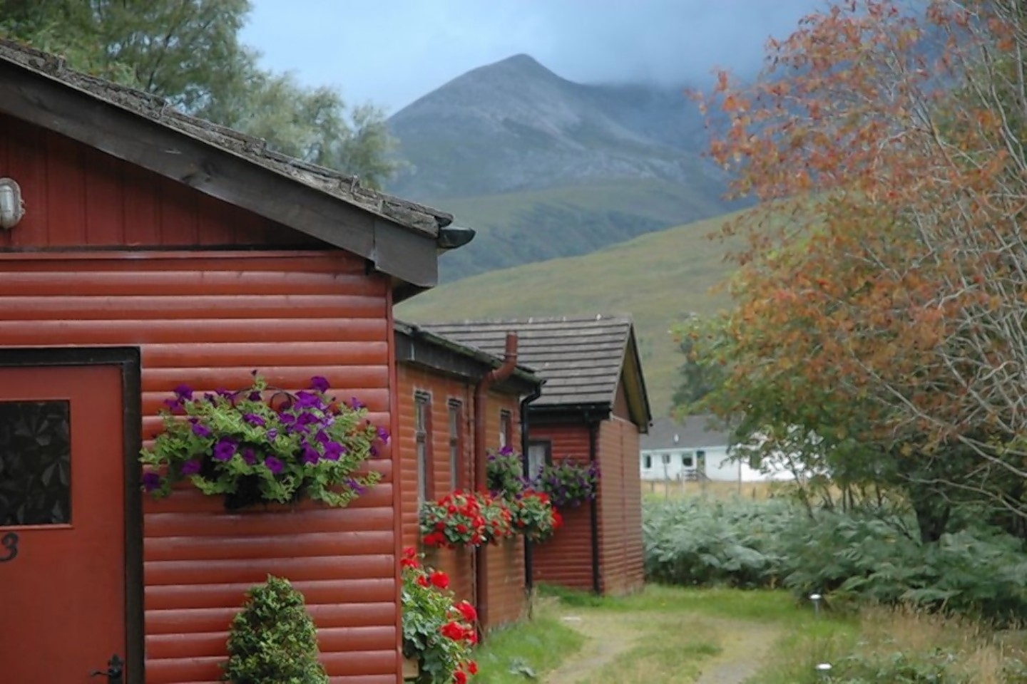 Lodges at Kinlochewe