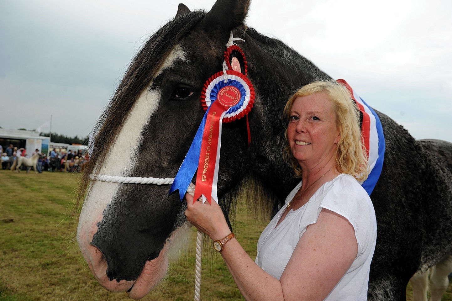 The supreme champion at last year's Nairn Show