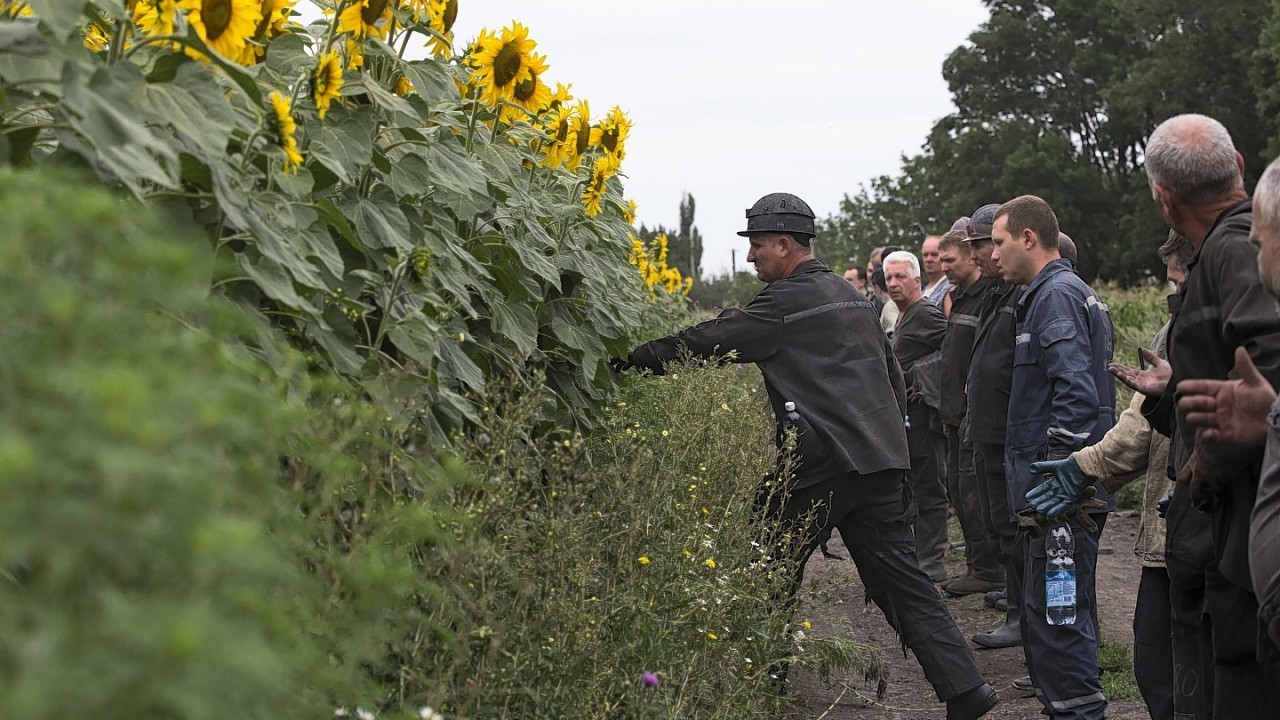 Ukrainian coal miners prepare to search the site of a crashed Malaysia Airlines passenger plane near the village of Rozsypne, Ukraine