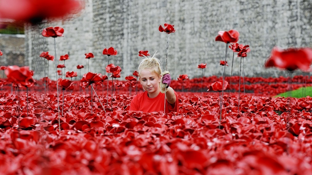 Volunteer Jenna Slaughter 19, from Reading helps plant the ceramic poppies art installation 'Blood Swept Lands and Seas of Red' by artist Paul Cummins at the Tower of London