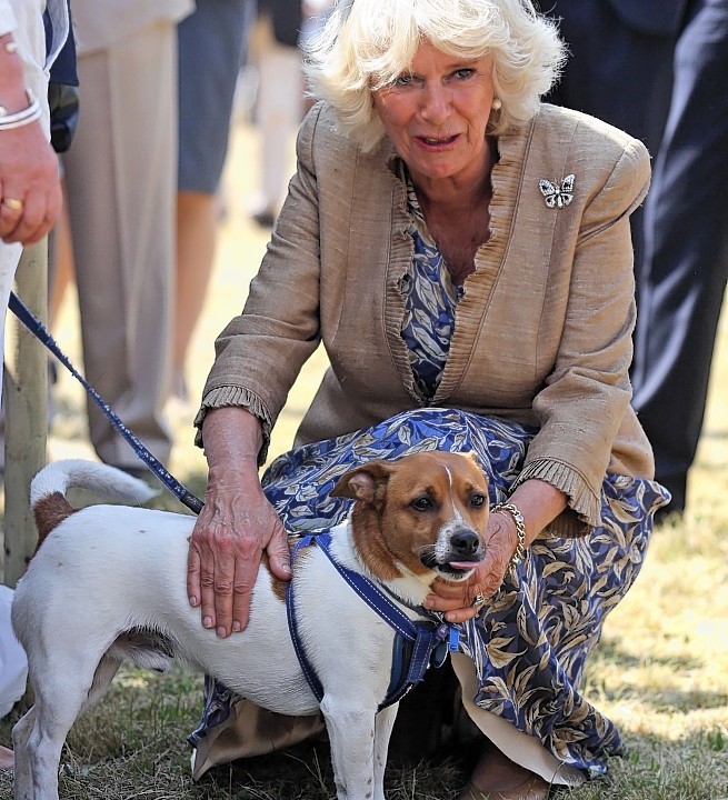The Prince of Wales and the Duchess of Cornwall visit the Sandringham flower show held on the Royal Estate in Norfolk