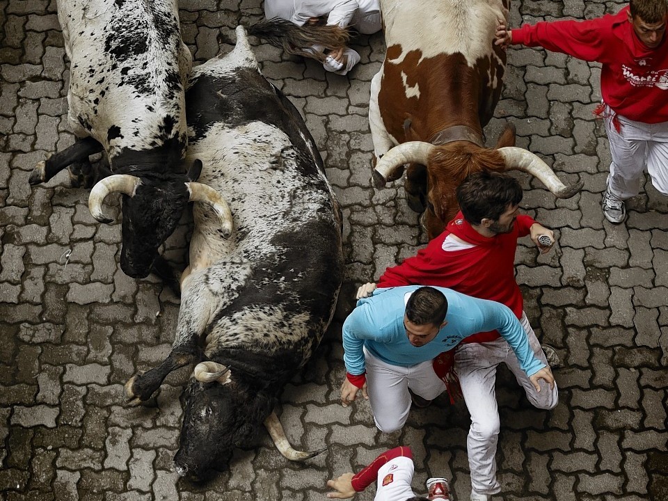 Torrestrella fighting bulls and revelers run during the running of the bulls of the San Fermin festival, in Pamplona, Spain, Monday, July 7, 2014