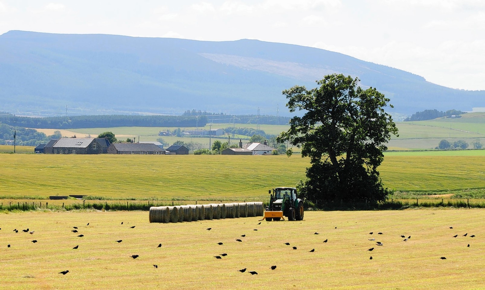NFU Scotland says more detail is needed on EFA requirements under the new Cap