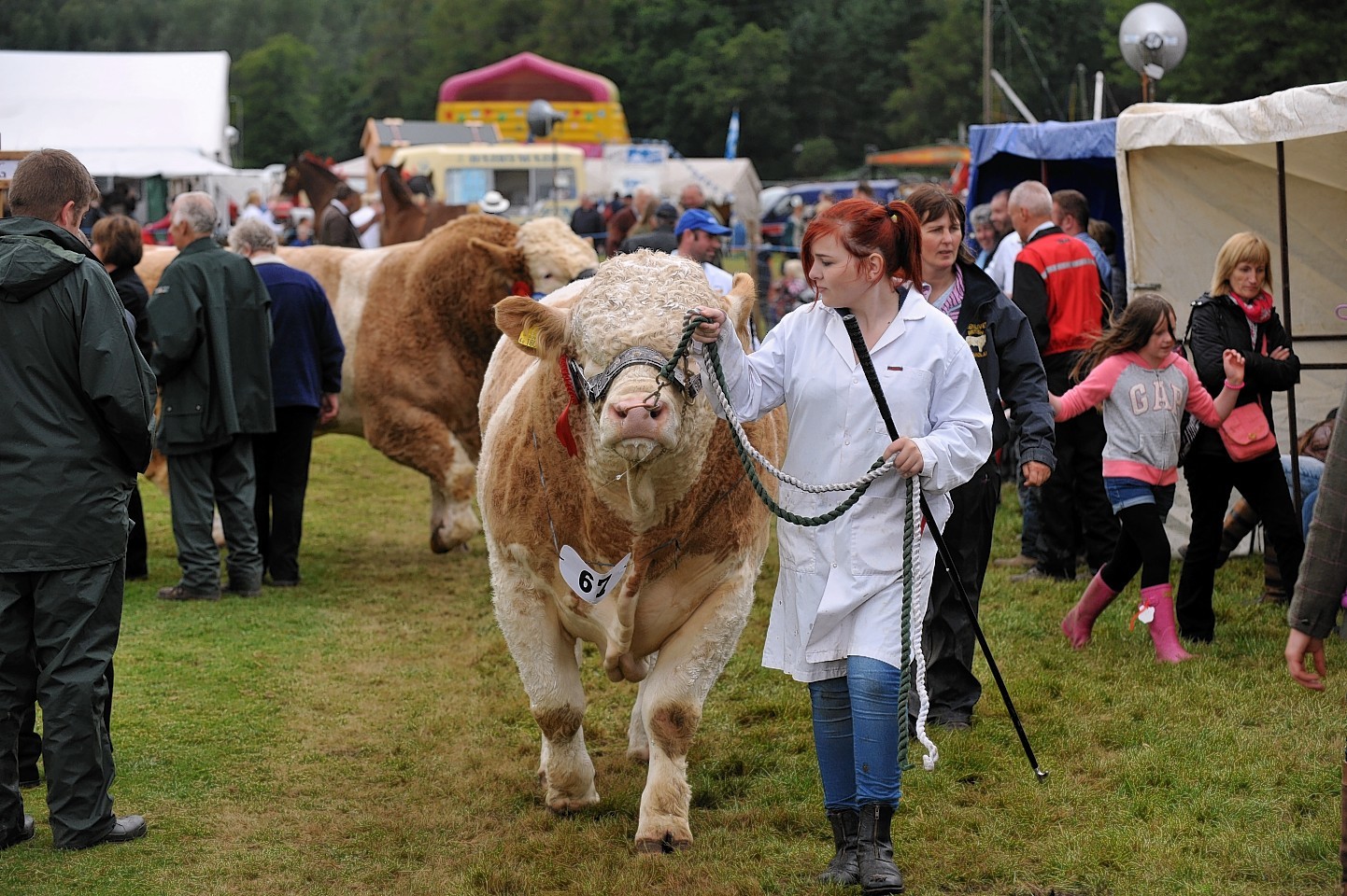 Grantown Show