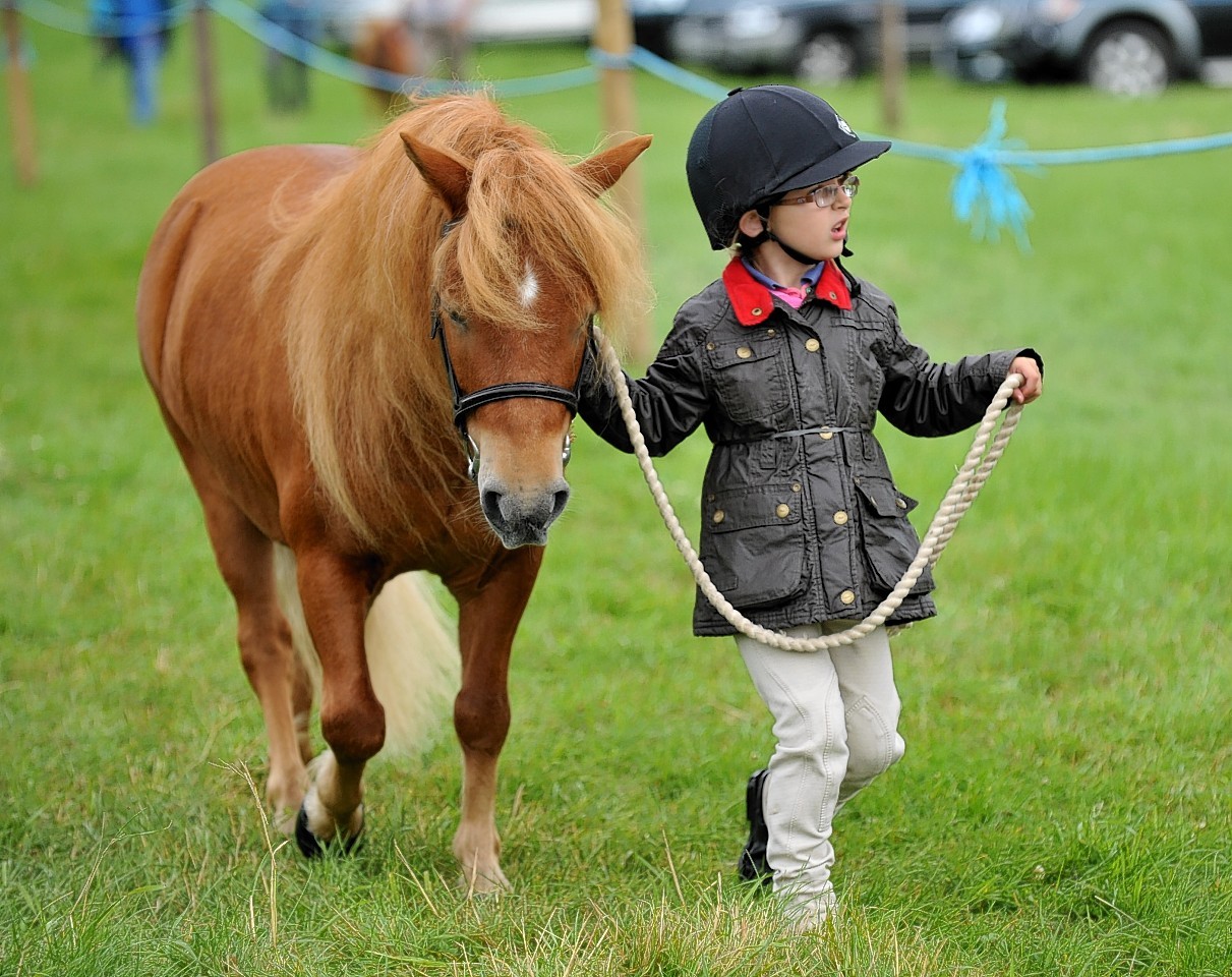 Grantown Show