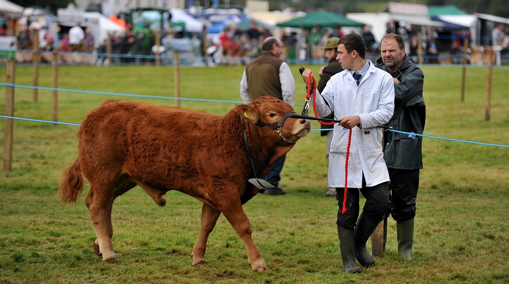 Grantown Show