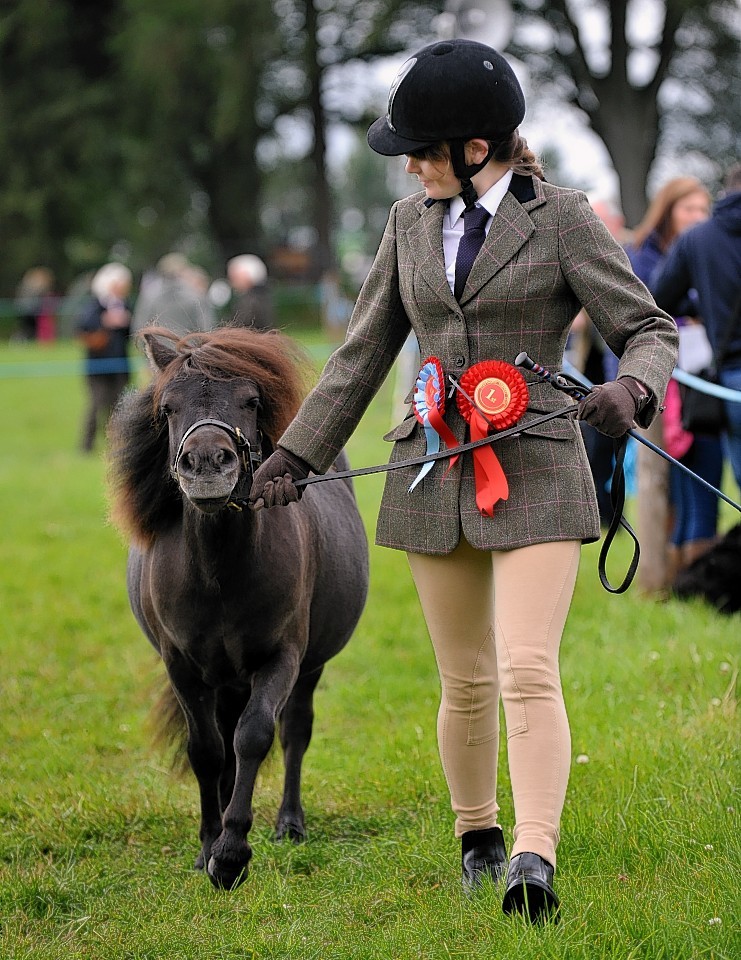 Grantown Show