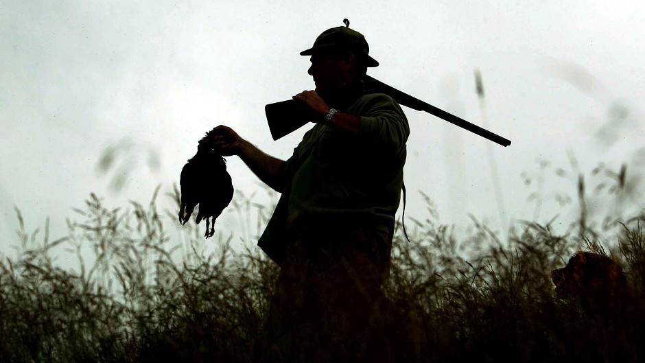 Land reform will help stop game birds being "blasted" out of the sky, according to League Against Cruel Sports.