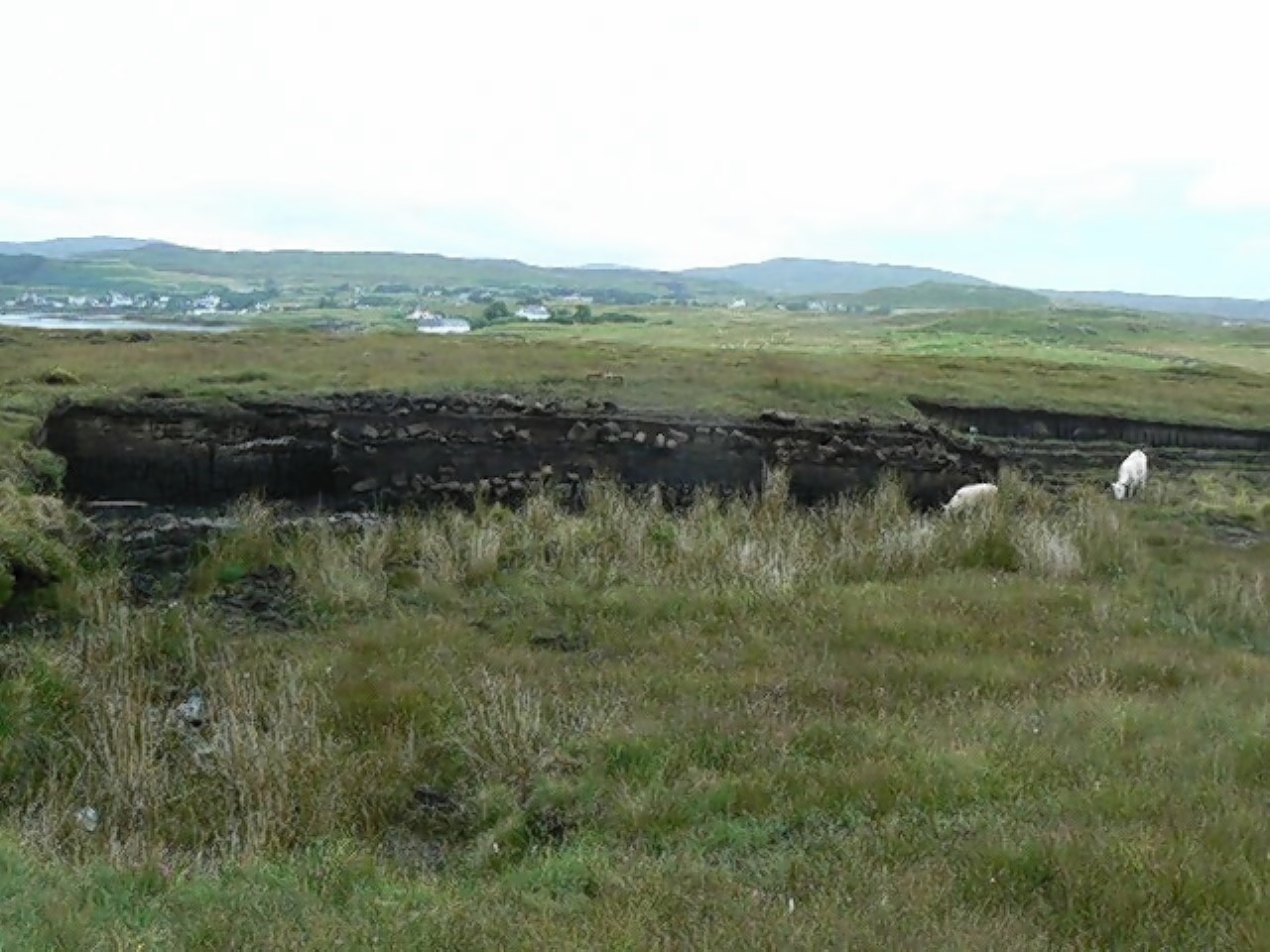The peat bog outside Cheryl Farnaby's house