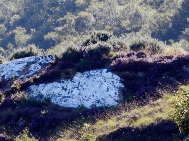 The saltire painted on The Sugar Loaf obliterated with white paint