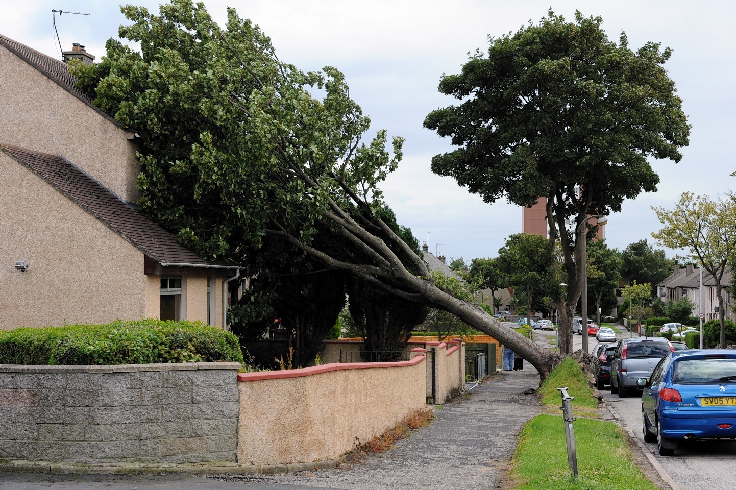 A tree fell onto a woman's house in Mastrick, Aberdeen