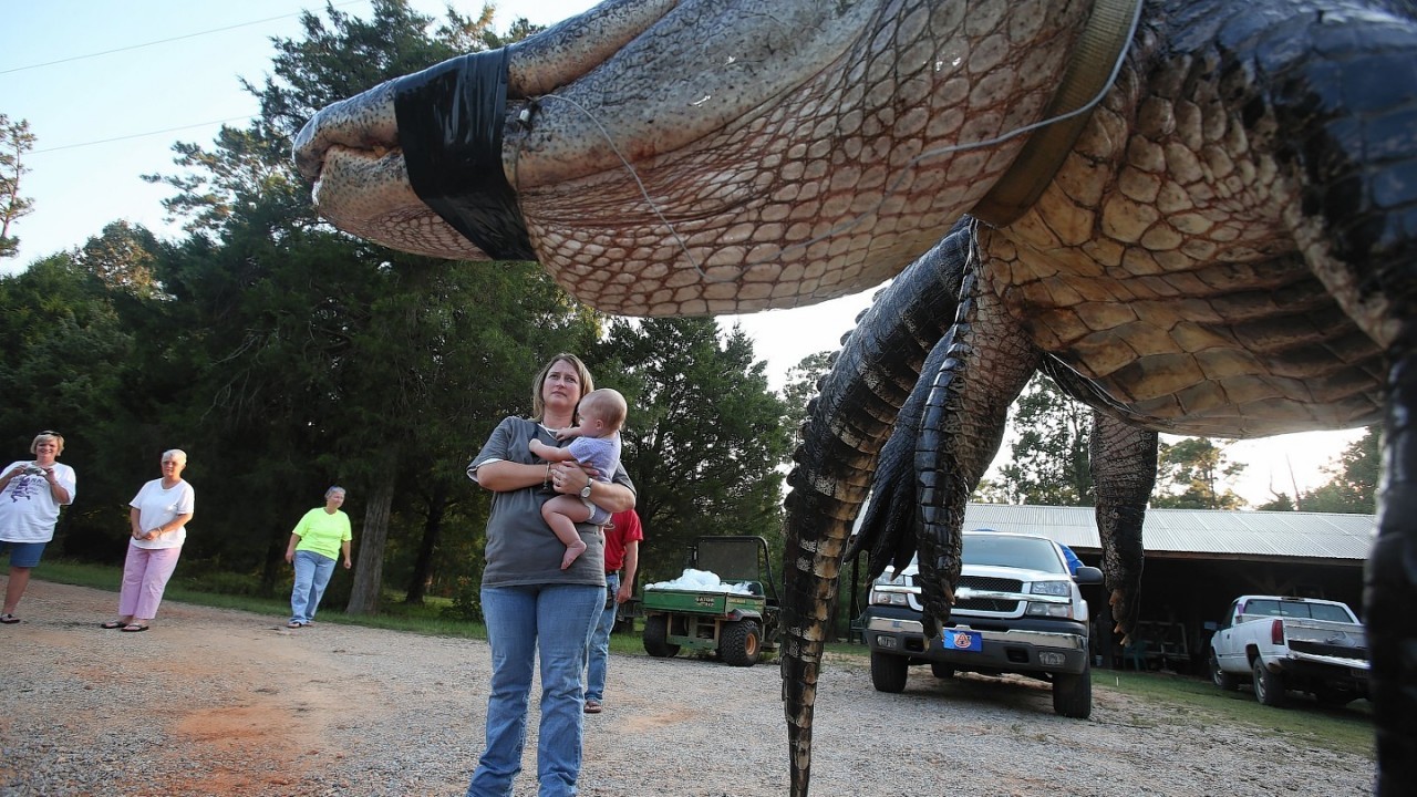 Mandy Stokes stands with her daughter Molly Kate Stokes next to an alligator that was caught in the Alabama River