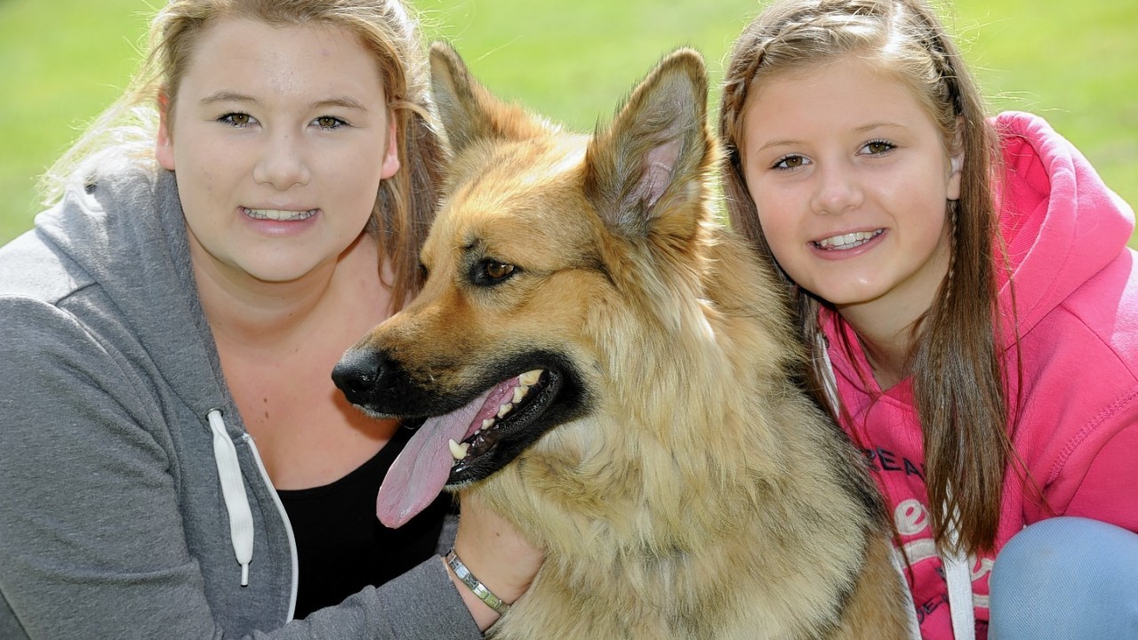 Local dog re-homing charity DAWGS held its annual Family Fun Day at Hazlehead Games Arena.