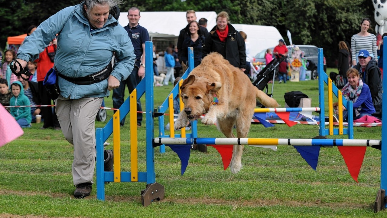 Local dog re-homing charity DAWGS held its annual Family Fun Day at Hazlehead Games Arena.