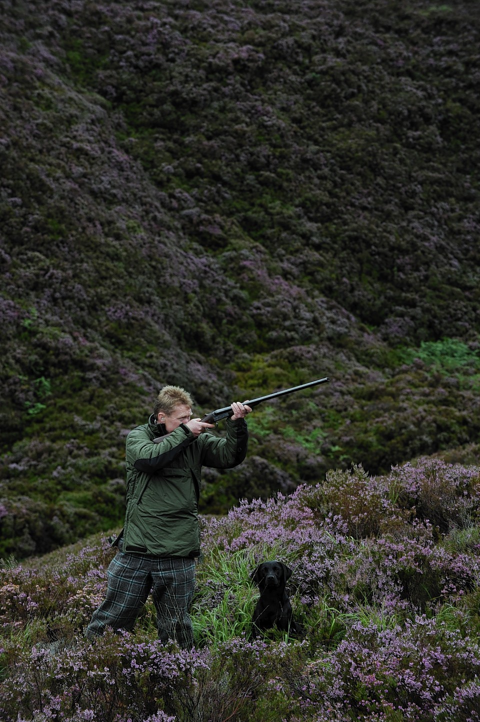 Grouse shooting in the Highlands