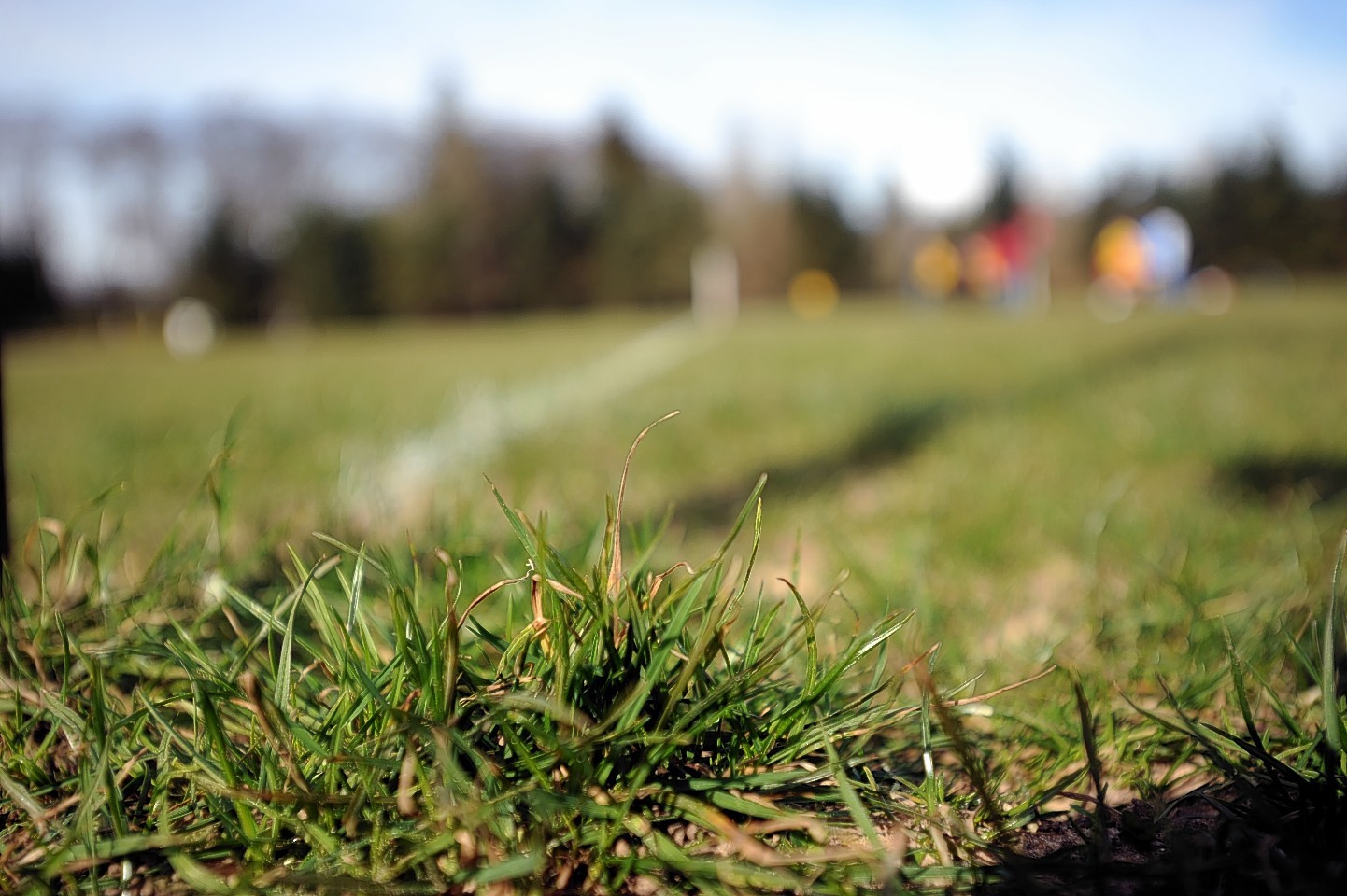 Pitches across the north are frozen this morning