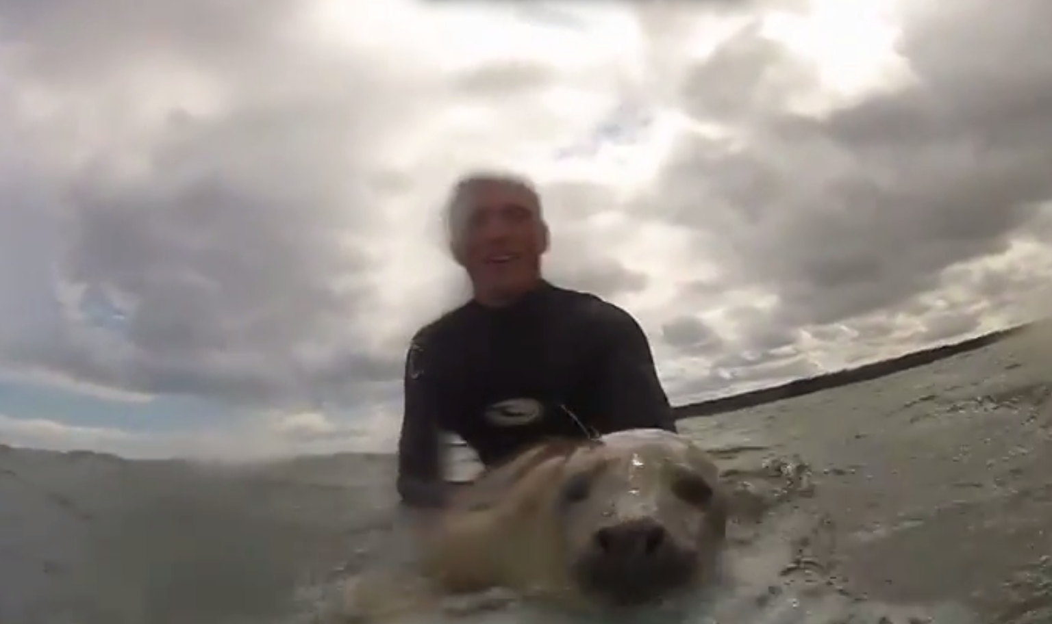 Surfing gets a seal of approval